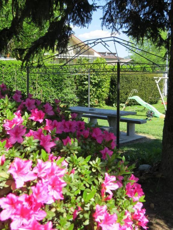 Casa Michela Parking Free Domodossola Διαμέρισμα Εξωτερικό φωτογραφία